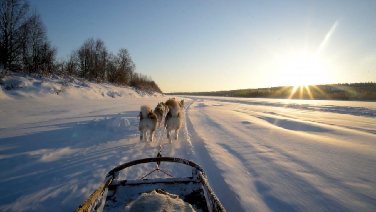 Scandinavian Home Rovaniemi Bagian luar foto
